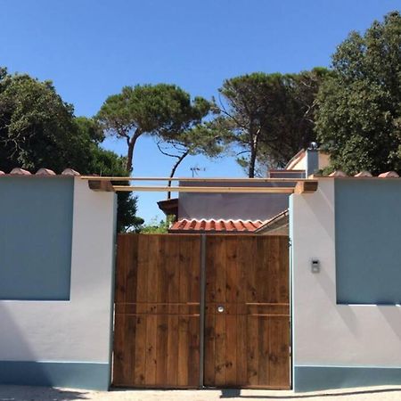 Viareggina Con Giardino Apartment Marina Di Pisa Luaran gambar
