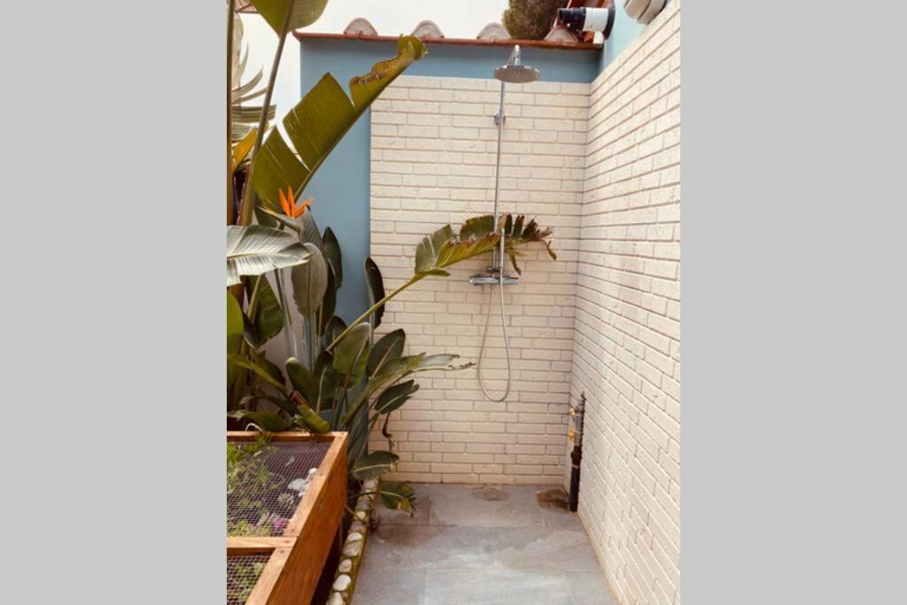 Viareggina Con Giardino Apartment Marina Di Pisa Luaran gambar
