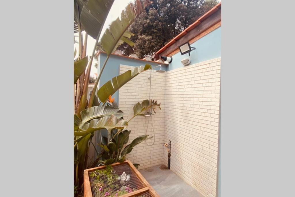 Viareggina Con Giardino Apartment Marina Di Pisa Luaran gambar