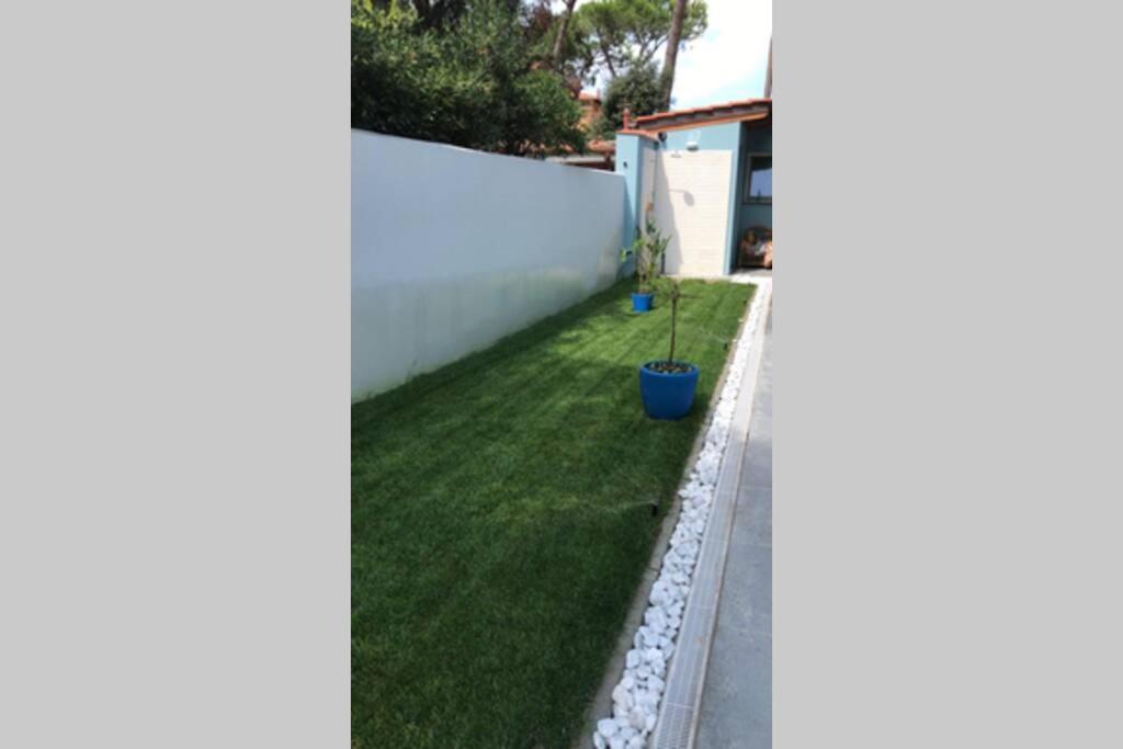 Viareggina Con Giardino Apartment Marina Di Pisa Luaran gambar